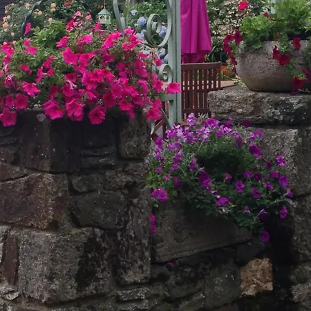 Le Petit Chateau, Matisse Noyal-Pontivy Exterior photo