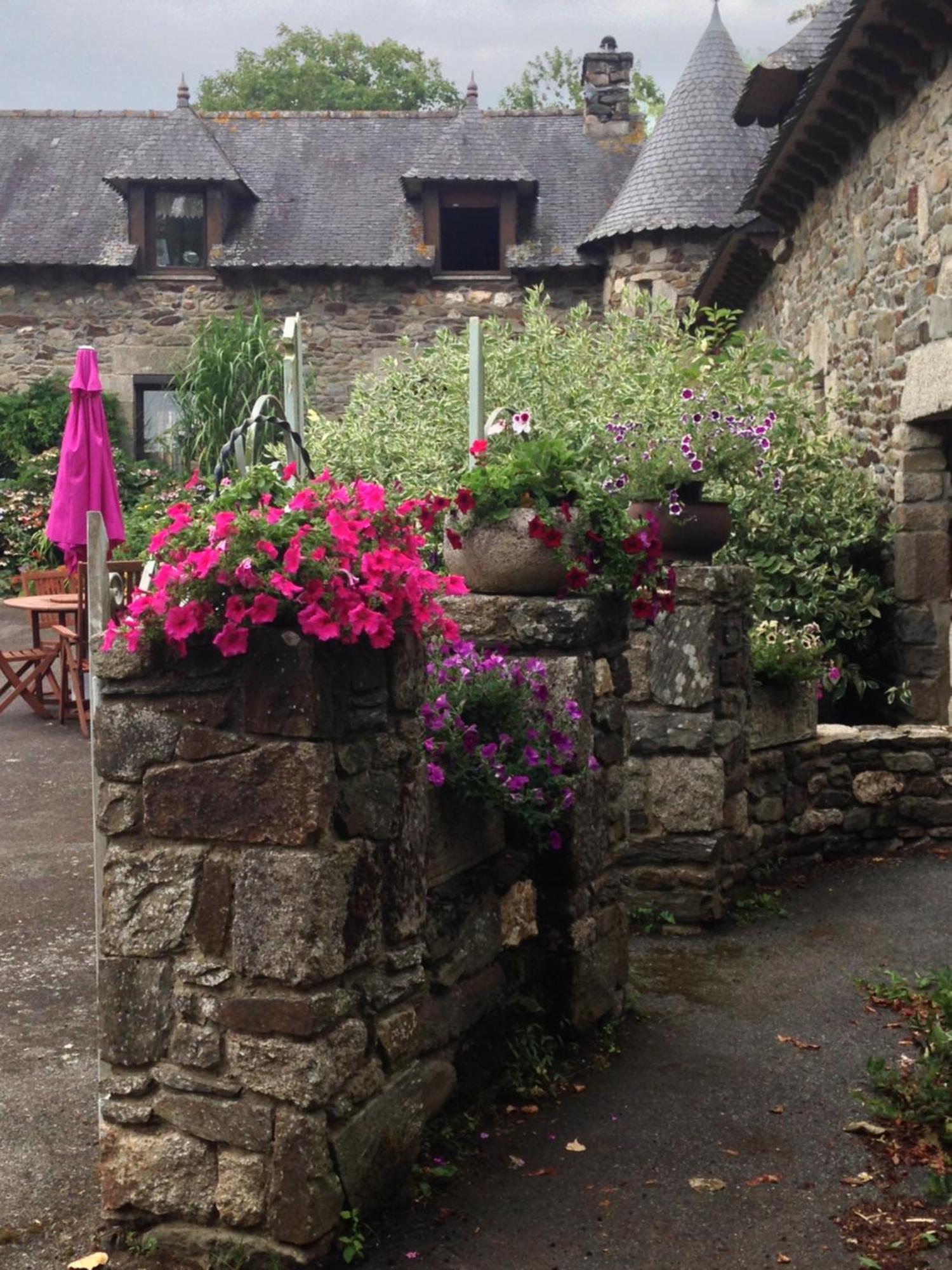 Le Petit Chateau, Matisse Appartement