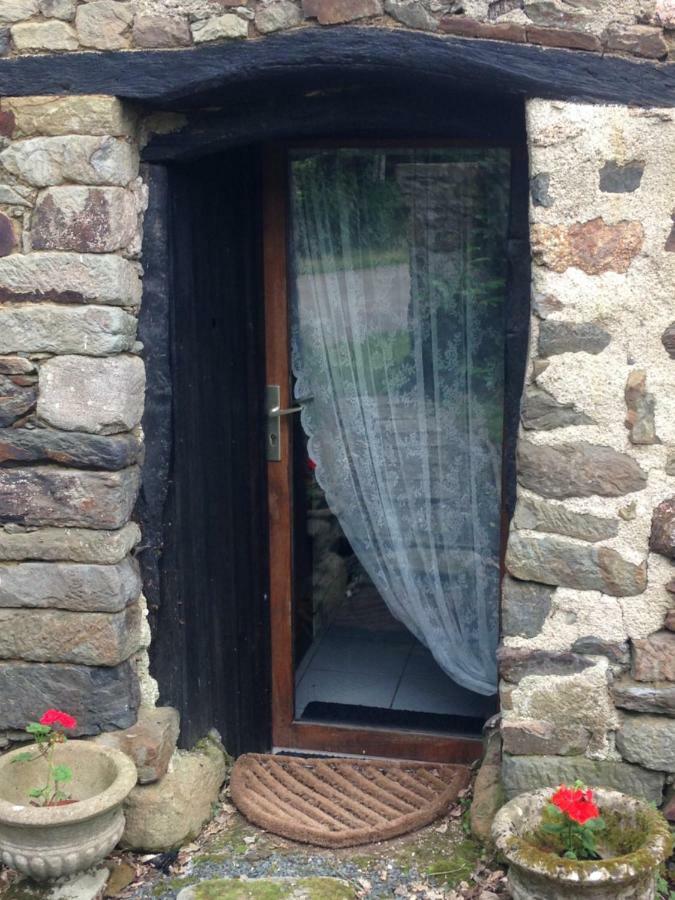 Le Petit Chateau, Matisse *